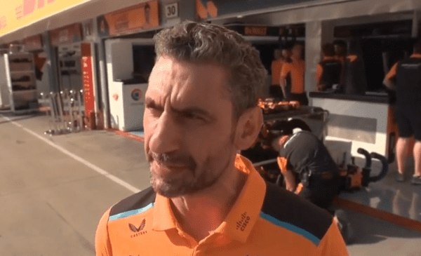 Andrea Stella f1